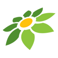 DAFTAR AURA77